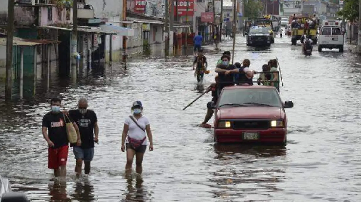 damnificados copia